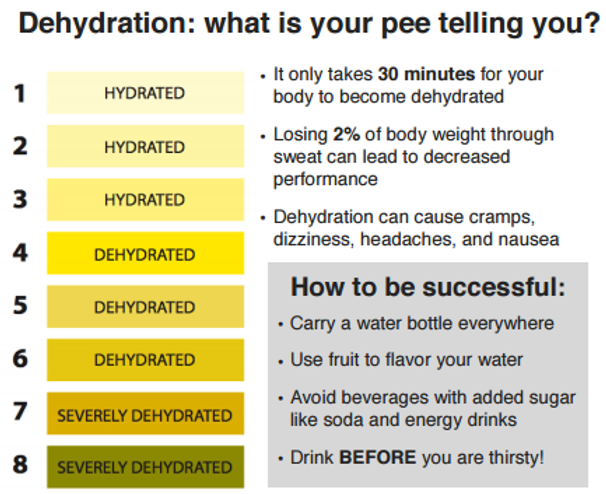 dehydration chart